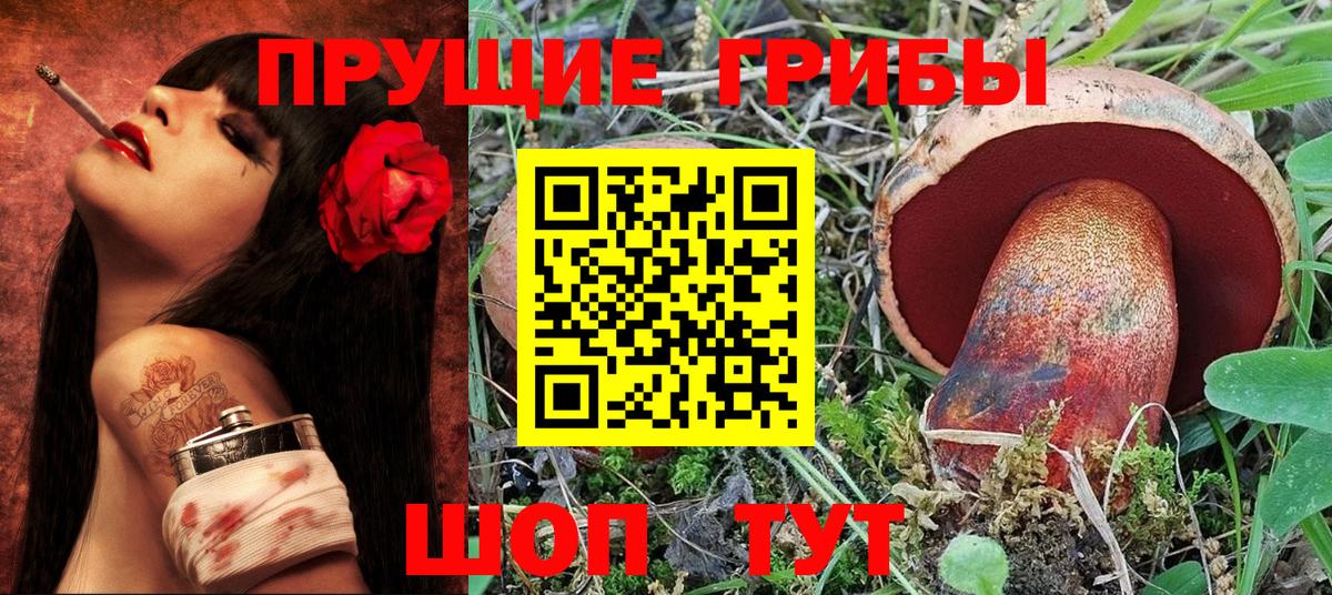 Галлюциногенные грибы Psilocybine cubensis Воскресенск