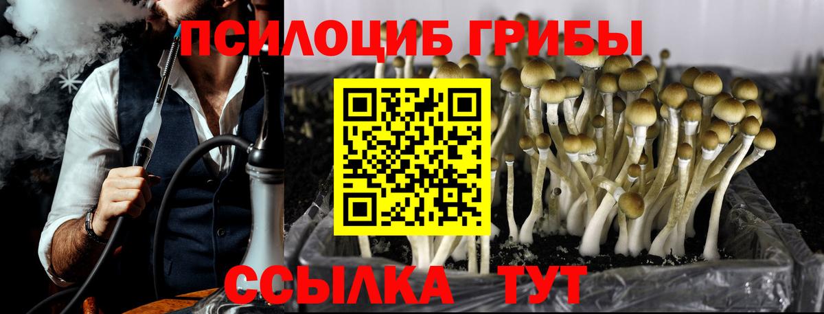 Псилоцибиновые грибы ЛСД  Вход с VPN  Воскресенск 